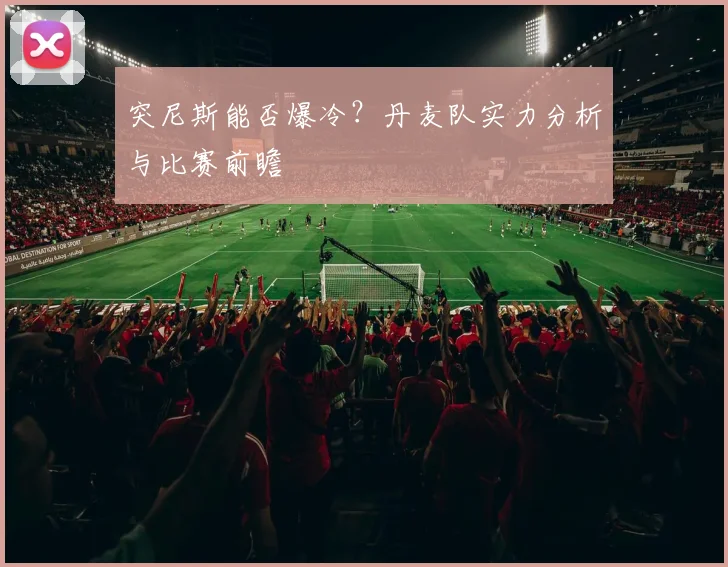 突尼斯能否爆冷？丹麦队实力分析与比赛前瞻
